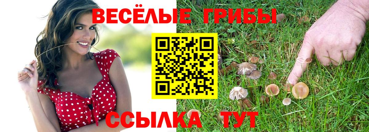 Галлюциногенные грибы Magic Shrooms  Вход с VPN  Усть-Илимск 