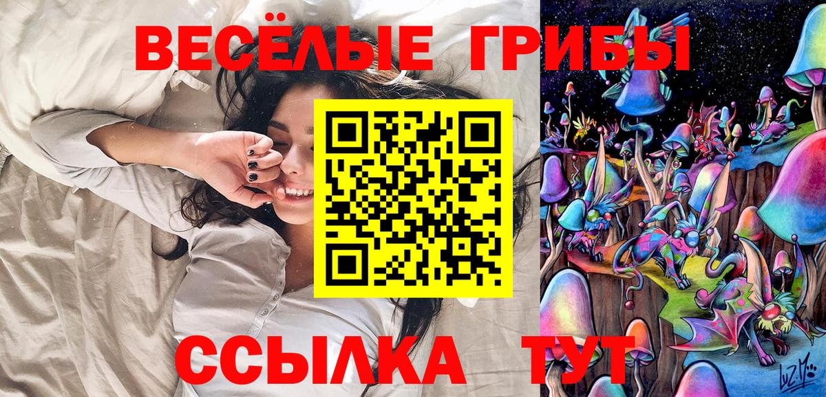 Псилоцибиновые грибы мицелий Усть-Илимск